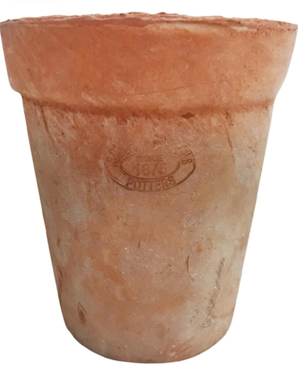 Spring plant pots 

#amazonfinds #plants

#LTKSeasonal #LTKhome
