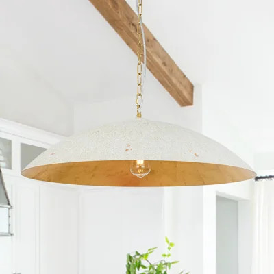Alshat 1 - Light Dome Pendant | Wayfair North America