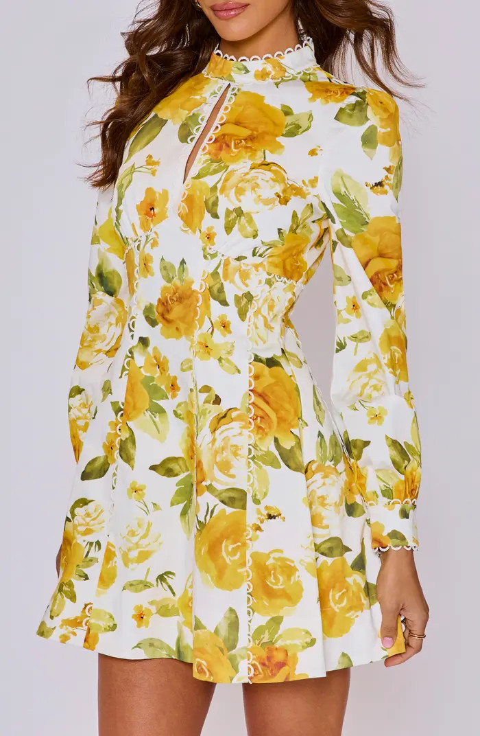 VICI Collection | Nordstrom