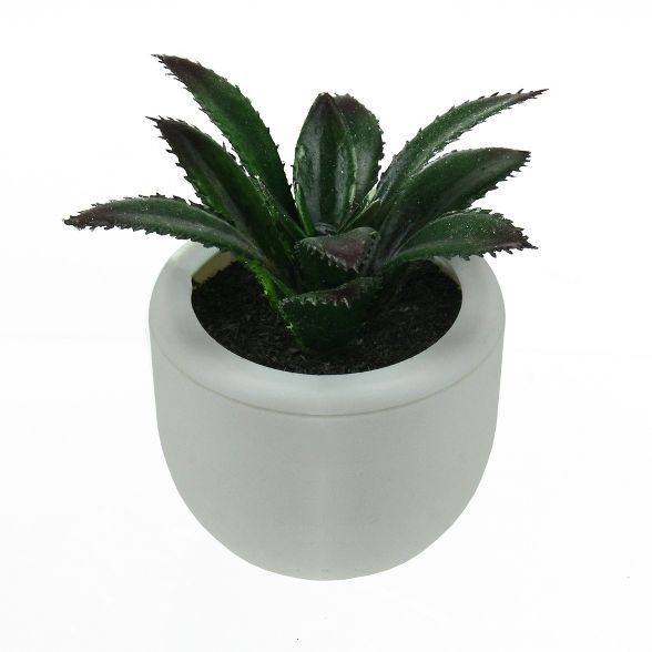 Northlight 3.5" Succulent Artificial Potted Plant Table Top Decoration - Green/White | Target