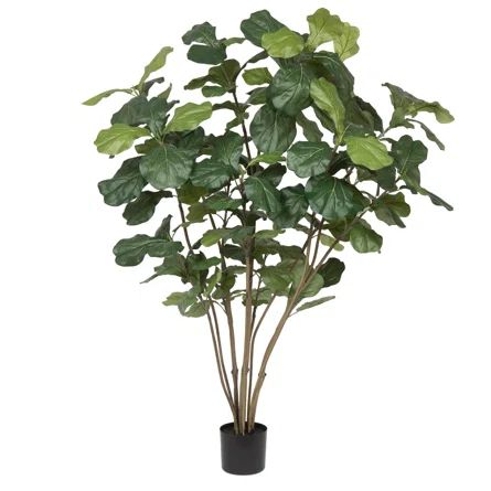 Three Posts™ Artificial Potted Fiddle Tree | Birch Lane | Wayfair North America