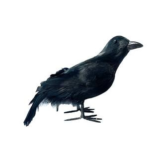 Halloween Black Iridescent Left Natural Feather Crow Accent by Ashland® | Michaels | Michaels Stores