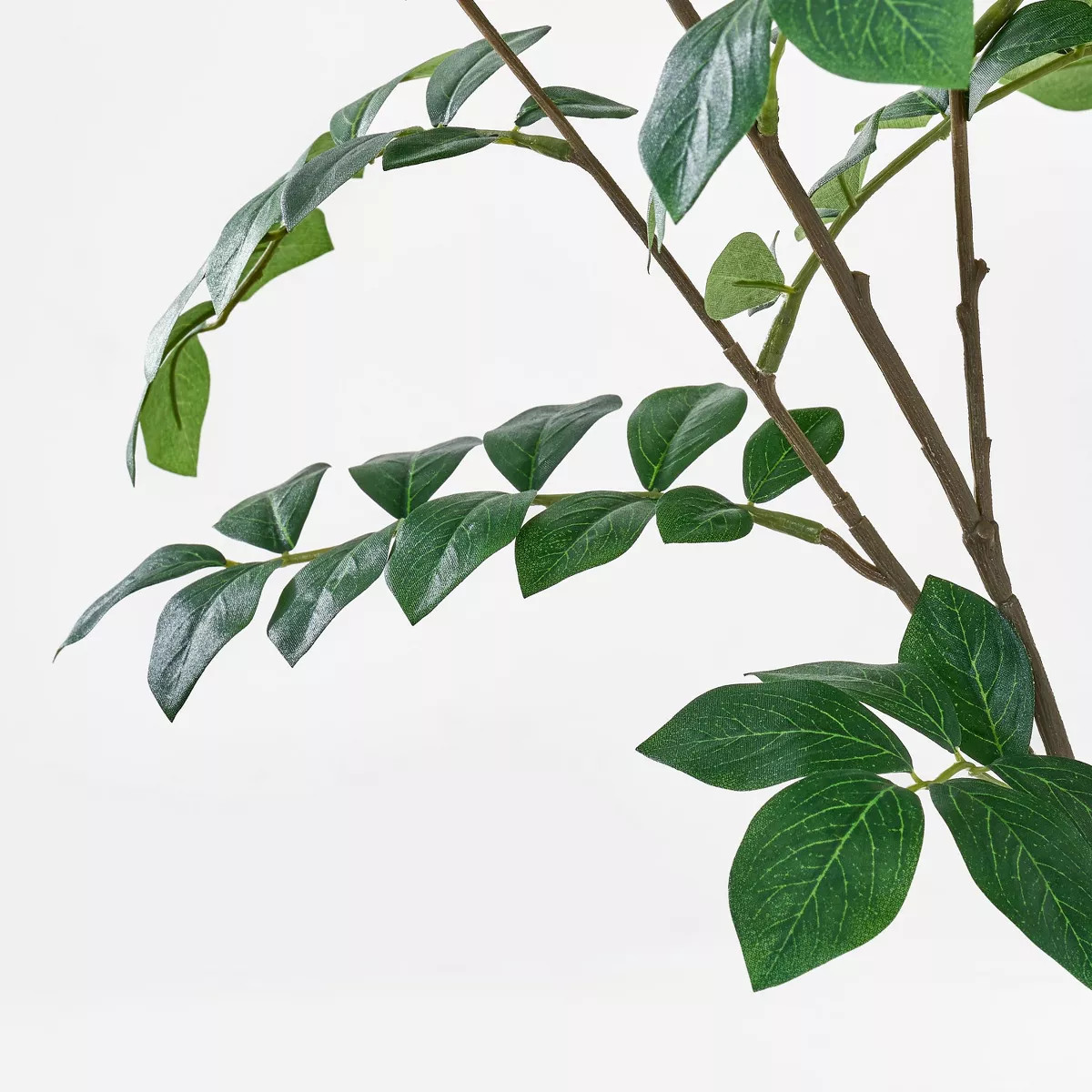 Moringa Artificial Tree Green - Threshold™ designed with Studio McGee: Unlit, Polyester, Indoor... | Target