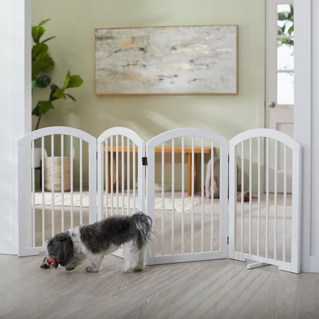 FRISCO Arch 4-Panel Solid Wood Dog Gate, 30-in, White - Chewy.com | Chewy.com