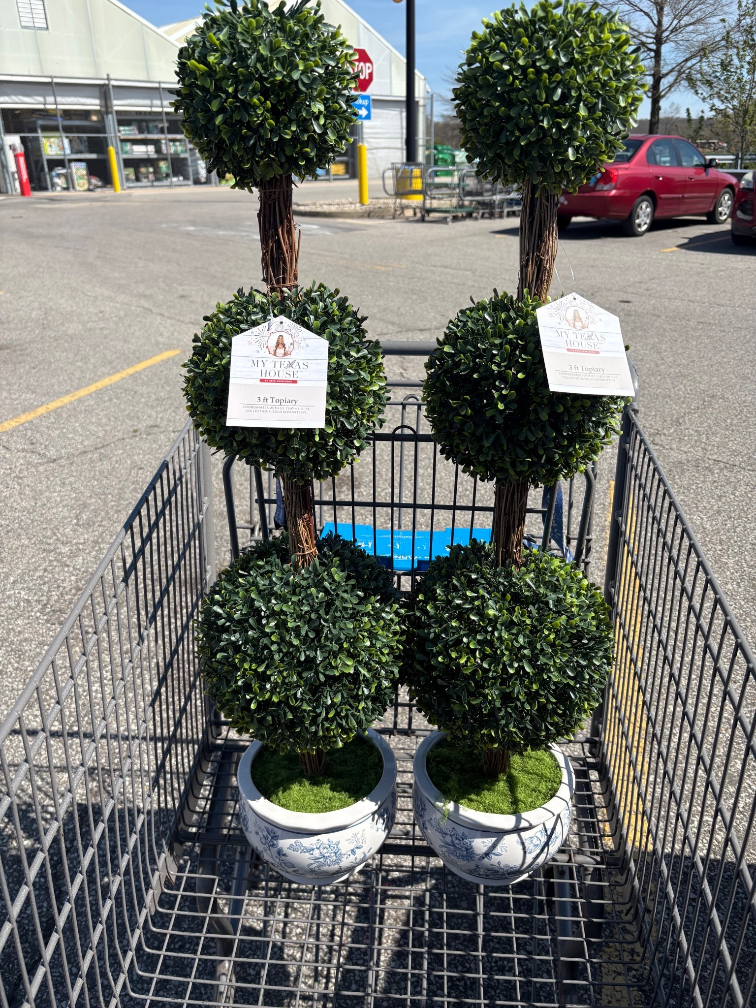 My Texas House 3ft Topiary Trees

#LTKdayinmylife #LTKmomlife #LTKHome