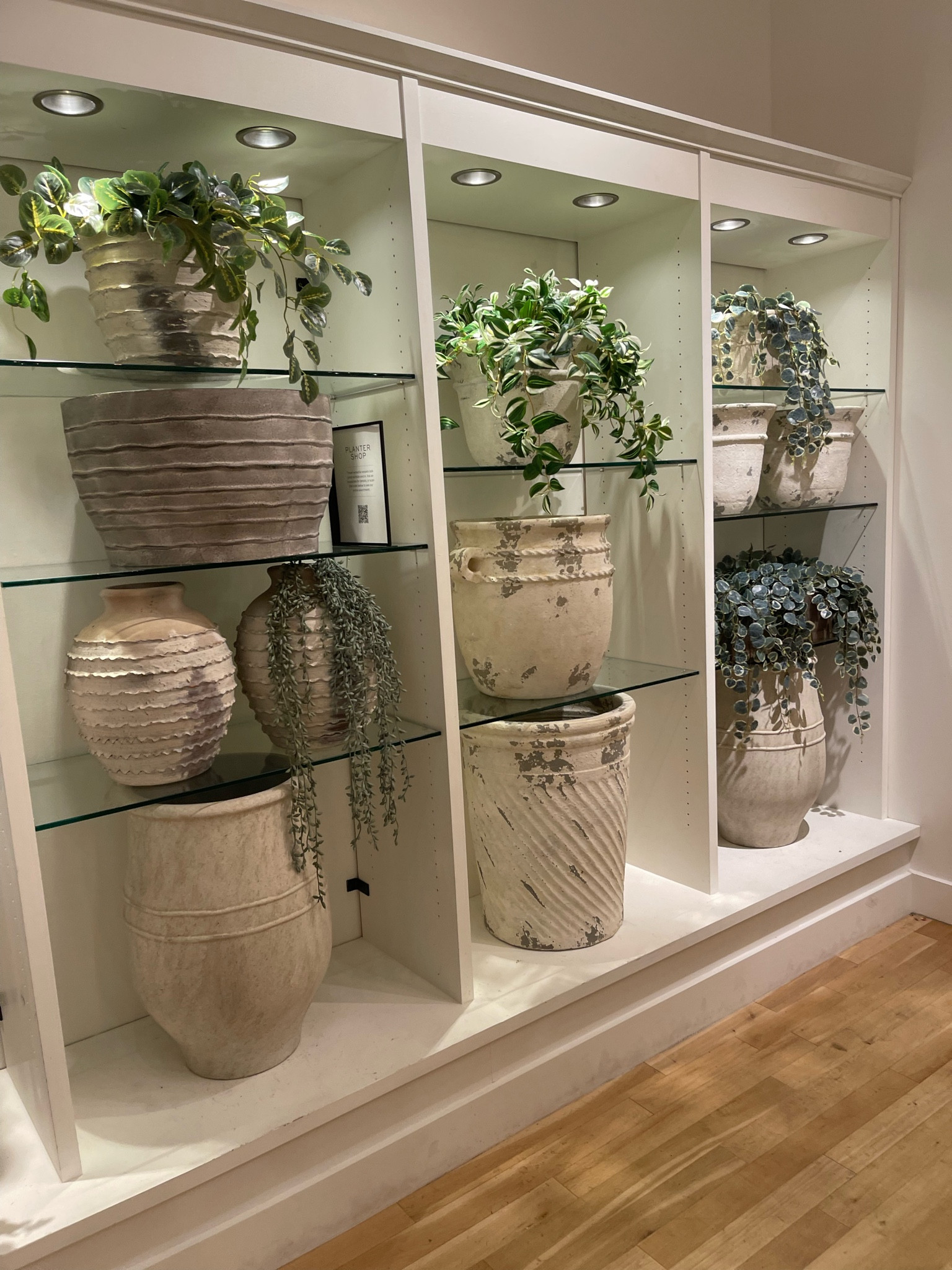 Garden planters
Outdoor plant pots
Patio planters
Decorative planters
Terracotta planters
Ceramic planters
Stone planters
Concrete planters
Succulent planters
Herb planters
Flower planters
Pottery barn 
Quality 

#LTKSeasonal #LTKhome #LTKFind