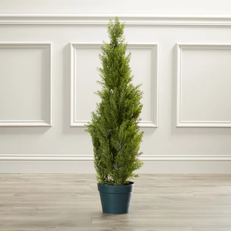 Evgenia Faux Cedar Topiary in Pot | Wayfair North America