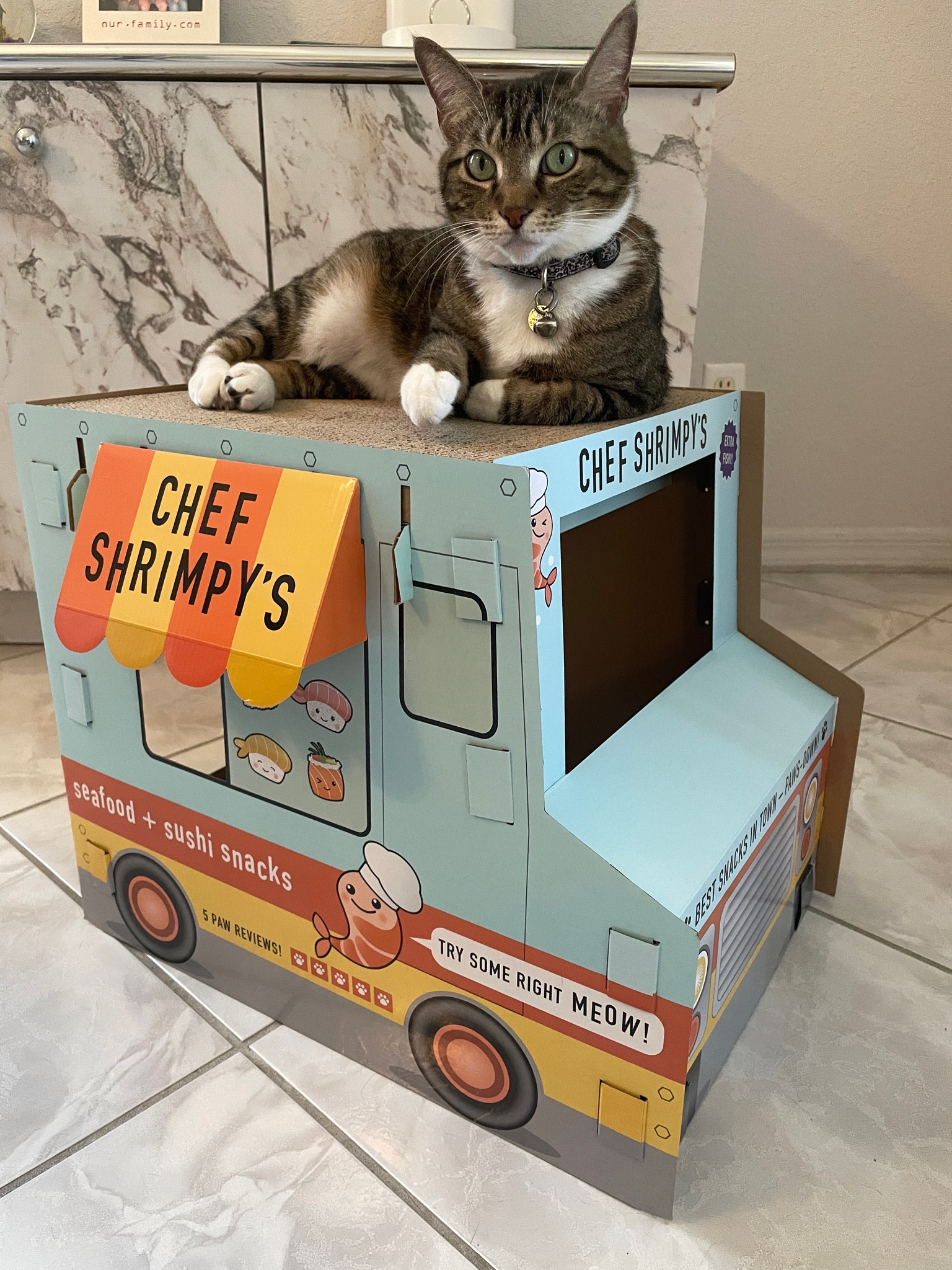 The cutest cat cardboard truck! It is a bit small. I wish it was bigger but she loves to nap on it and inside of it 🤍

cat finds, target pet finds, target finds, cat scratcher, cat cardboard truck, pet finds, cat supplies, cat mom, ltk pets



#LTKxTarget #LTKhome #LTKfindsunder50