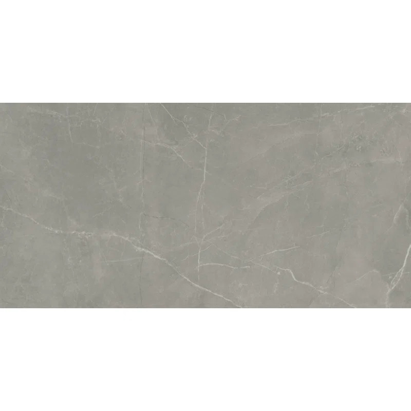 Sterlina II™ 12" x 24" Porcelain Singular Tile | Wayfair North America