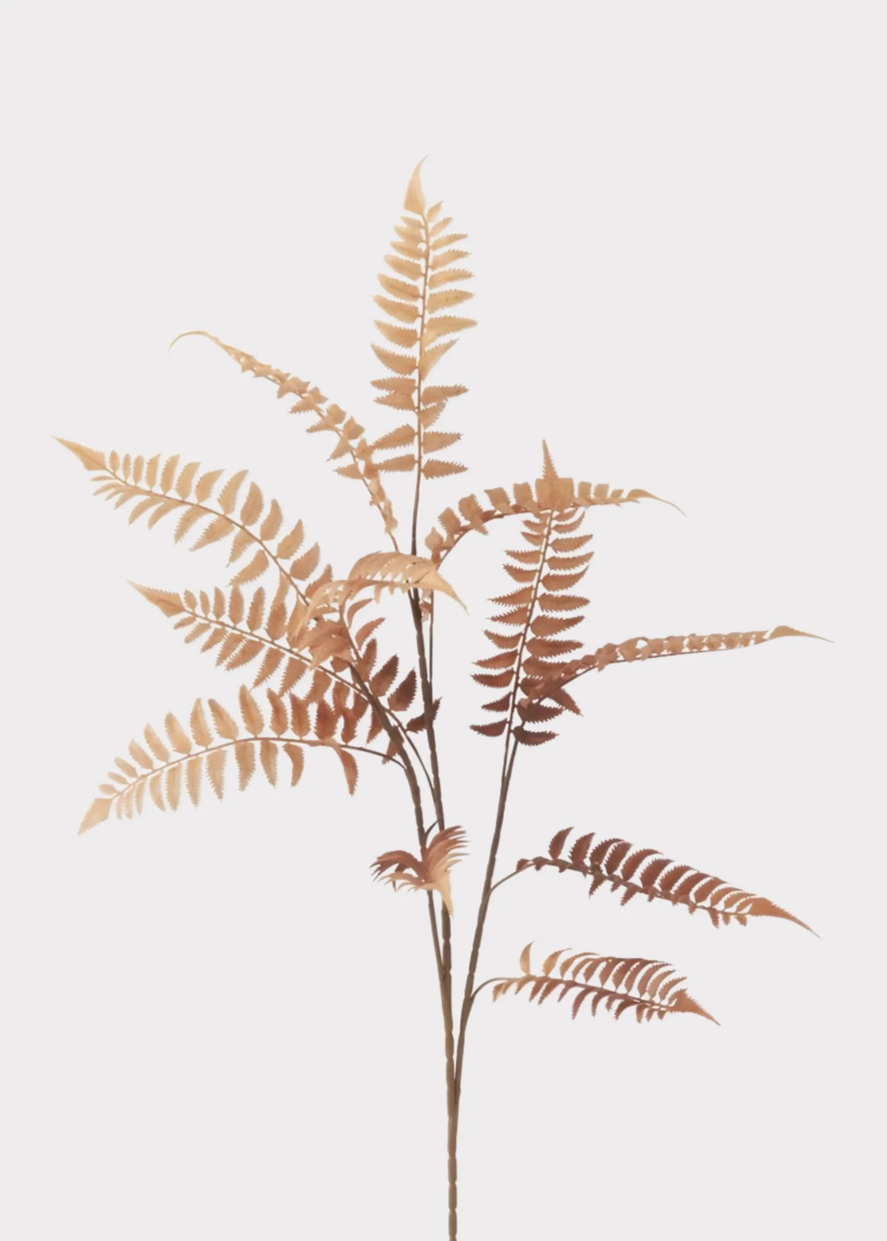 Fall Orange Artificial Fern Leaf Branch - 39" | Afloral