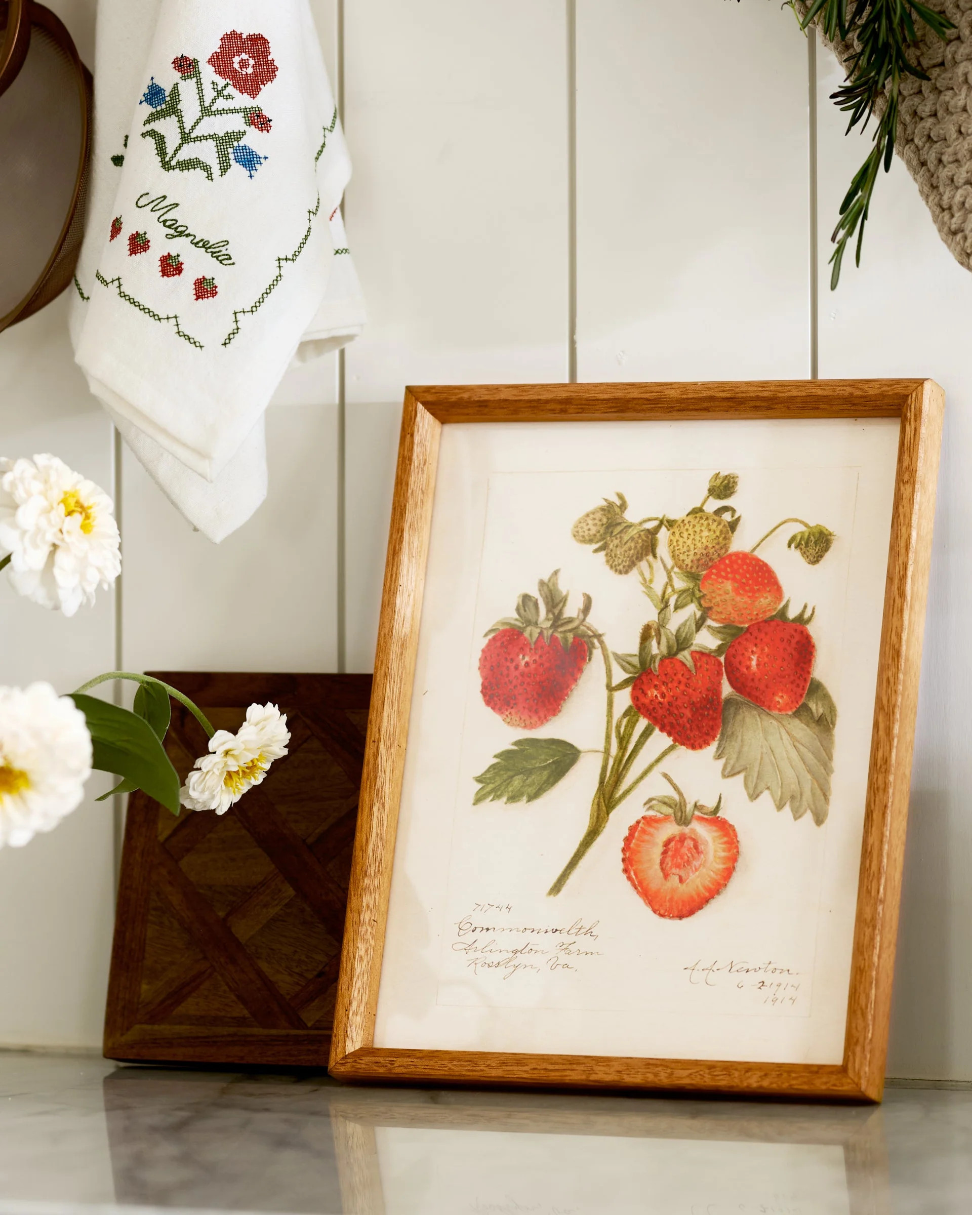 Fresh Strawberry Botanical Framed Print | Magnolia