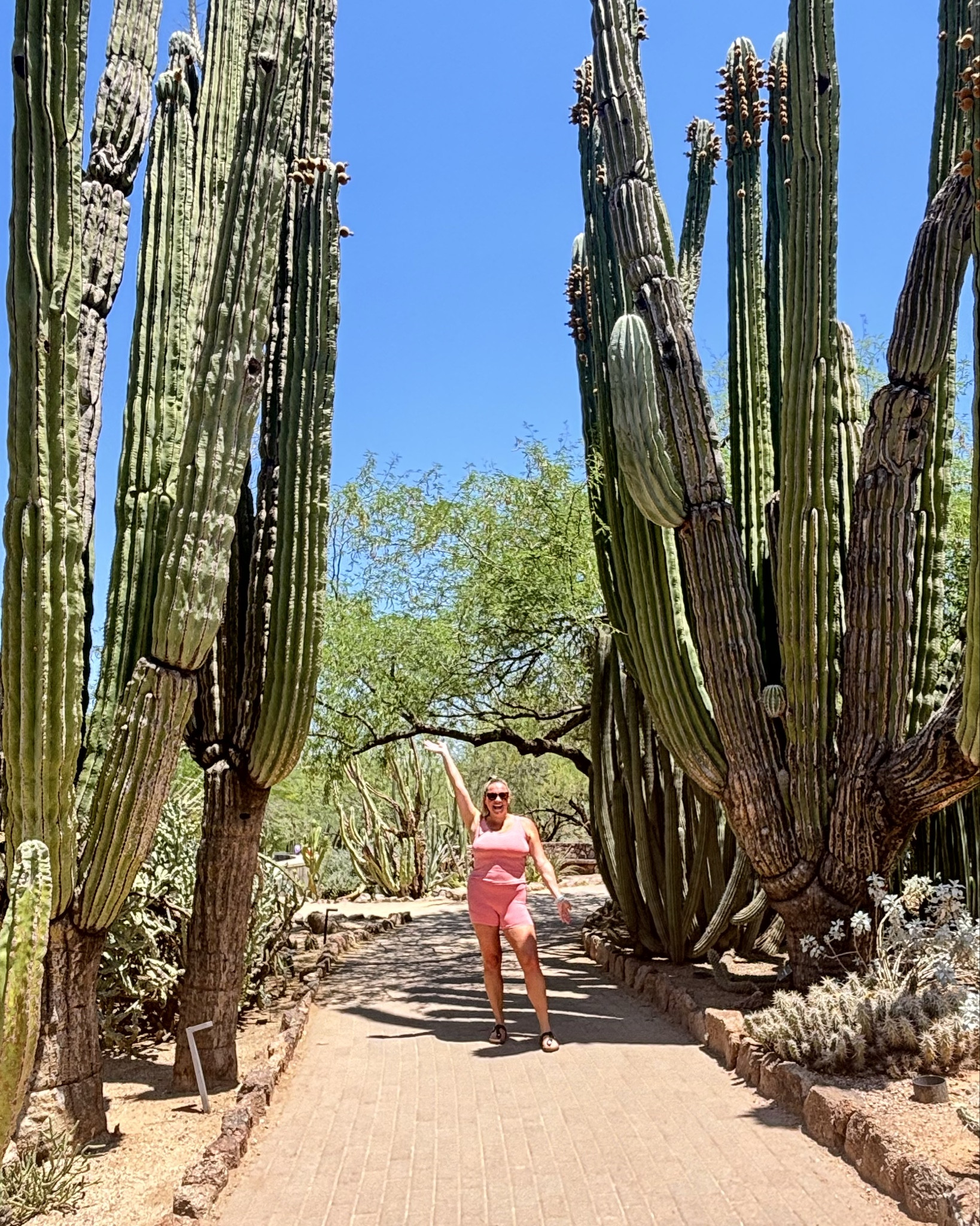 My favorite cross over aerie bike shorts are on 9.99 on clearance! #aerie #aeriesale #workout 

#LTKSaleAlert #LTKActive #LTKMidsize