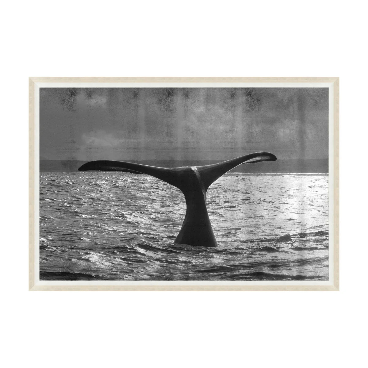 Metallic Whale | Tuesday Made