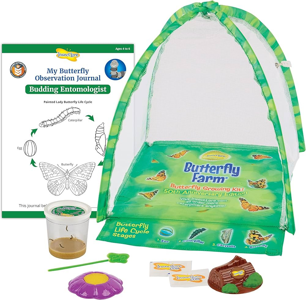 Butterfly Garden: Farm Habitat and Live Cup of Caterpillars – Life Science & STEM Education | Amazon (US)