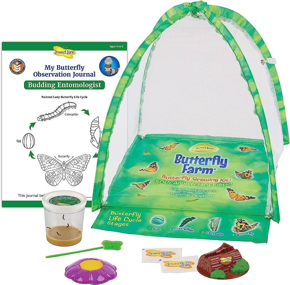 Butterfly Garden: Farm Habitat and Live Cup of Caterpillars – Life Science & STEM Education | Amazon (US)