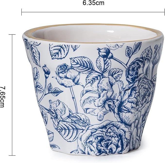 Espresso Mugs Set of 4 Beautiful Floral Ceramic Coffee Cups - 3.5oz (100 ml) Espresso Cups Novelt... | Amazon (US)