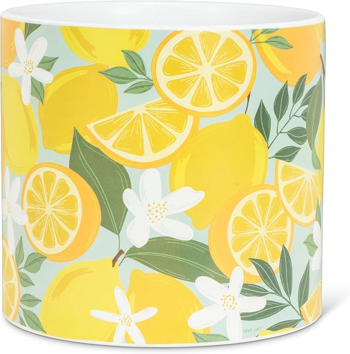 Abbott Collection Large Lemons & Blossoms Planter - Ceramic, Yellow/Green (6.5" D) : Amazon.ca: P... | Amazon (CA)