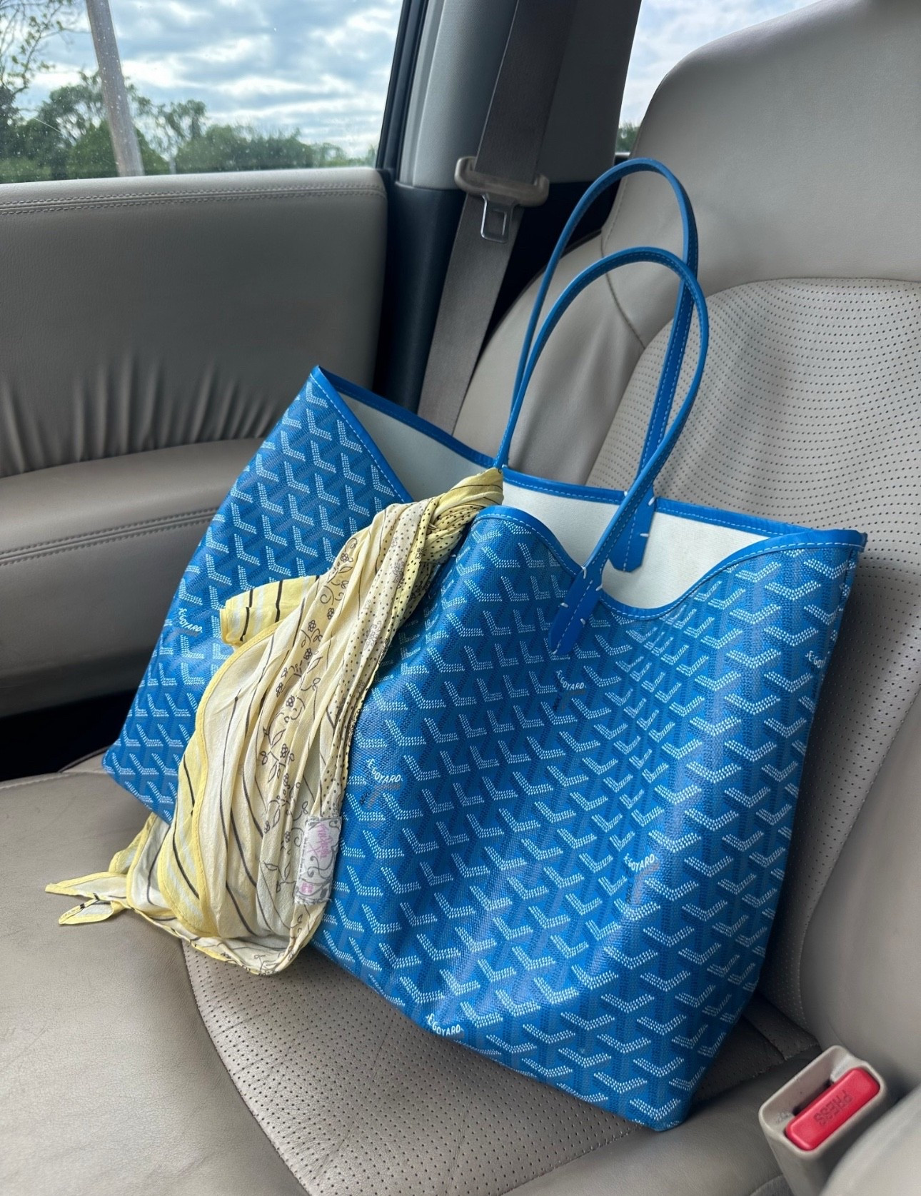 I have size Large in Sky Blue