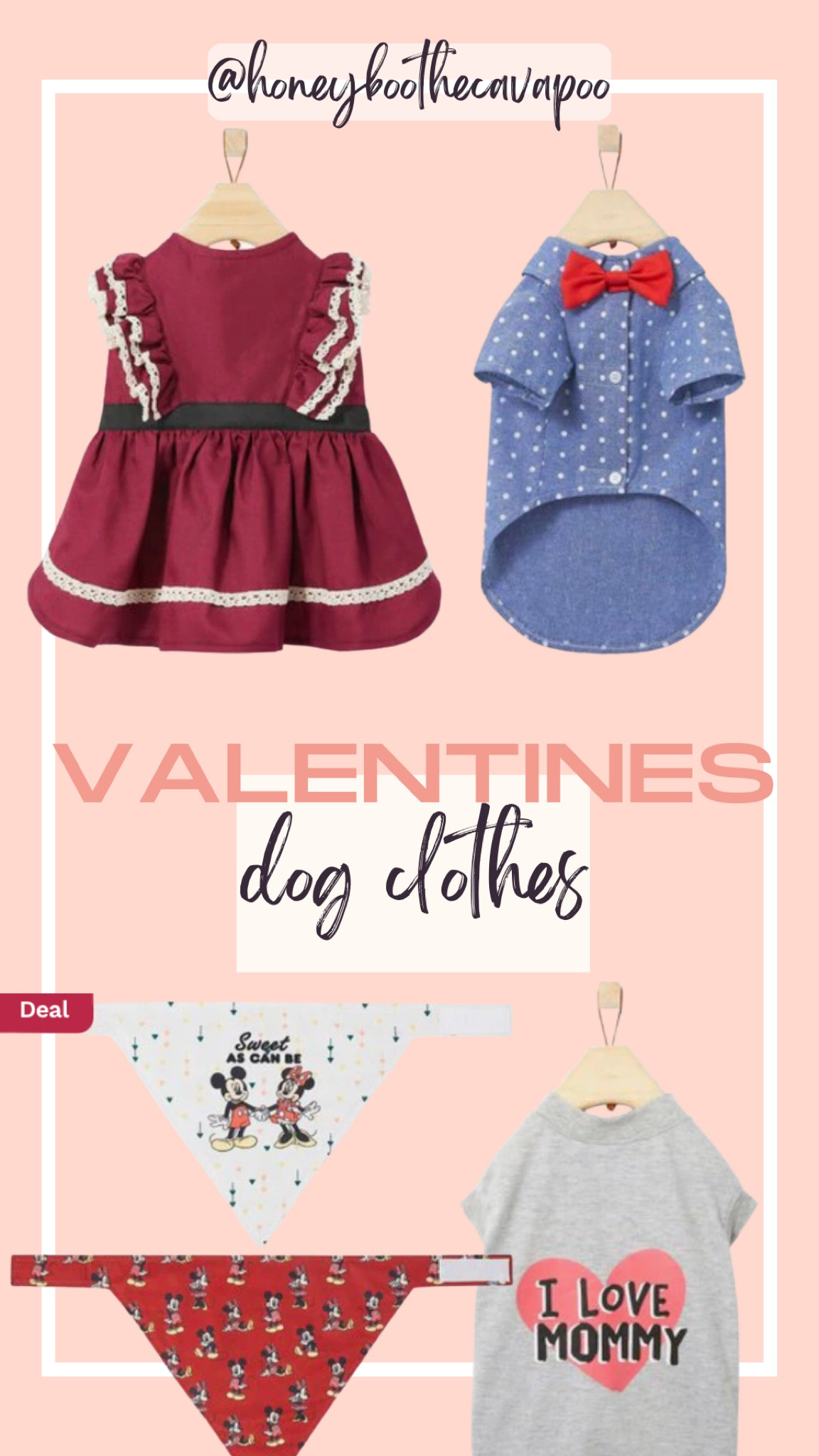 #chewy #pets #petfinds 

Dog must haves 
Pet favorite 
Valentine 


#LTKGiftGuide #LTKSeasonal #LTKsalealert