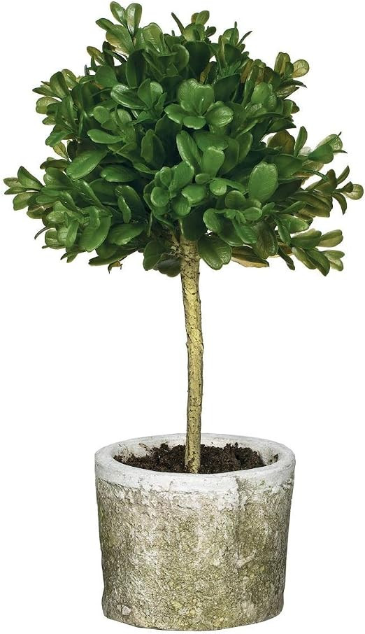 Sullivans Mini Boxwood Topiary | Amazon (US)