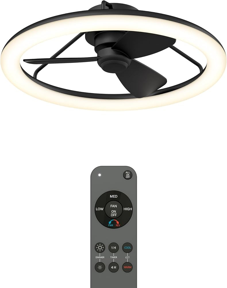 Darren 23 in. LED modern black ceiling fan - with remote | Amazon (US)