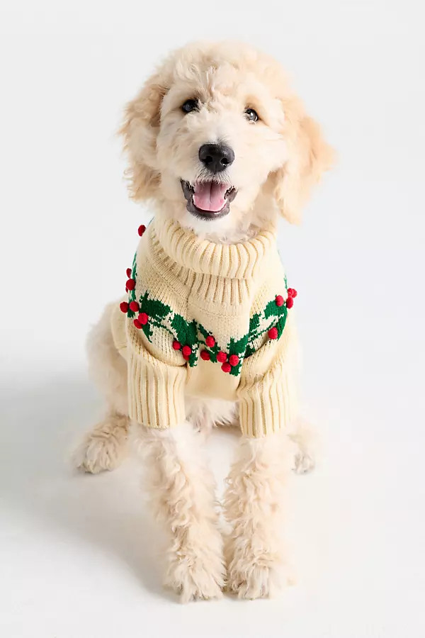 Holly Bobble Dog Sweater | Anthropologie (US)