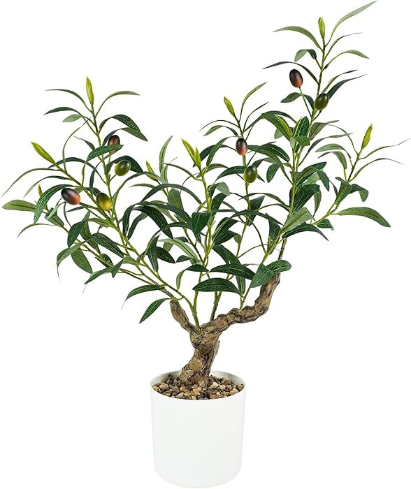 Caxchiling Fake Olive Plants 2FT, Artificial Small Olive Tree Indoor, Faux Potted Plants Decor fo... | Amazon (CA)