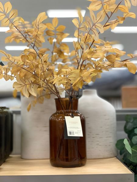 Pretty premade autumn arrangement in amber glass vase.


🍂New fall decor from Target: Fall faux foliage arrangement. 🍂

#LTKhome #LTKunder50