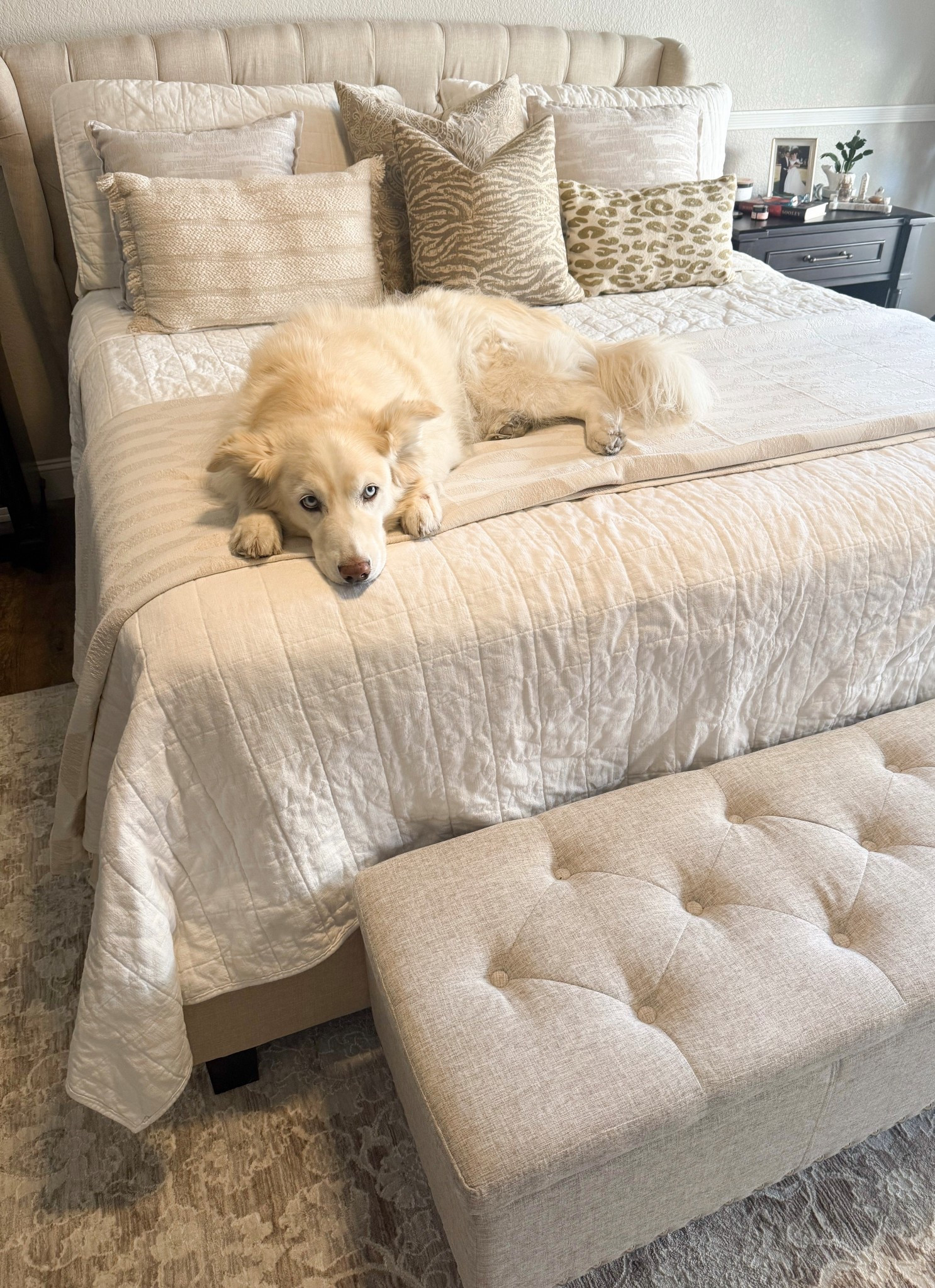 Bedding on Sale during Target Circle Week 40% off!  Casaluna Quilt, Shams and Threshold Blanket!

#LTKHome #LTKFindsUnder100 #LTKSaleAlert