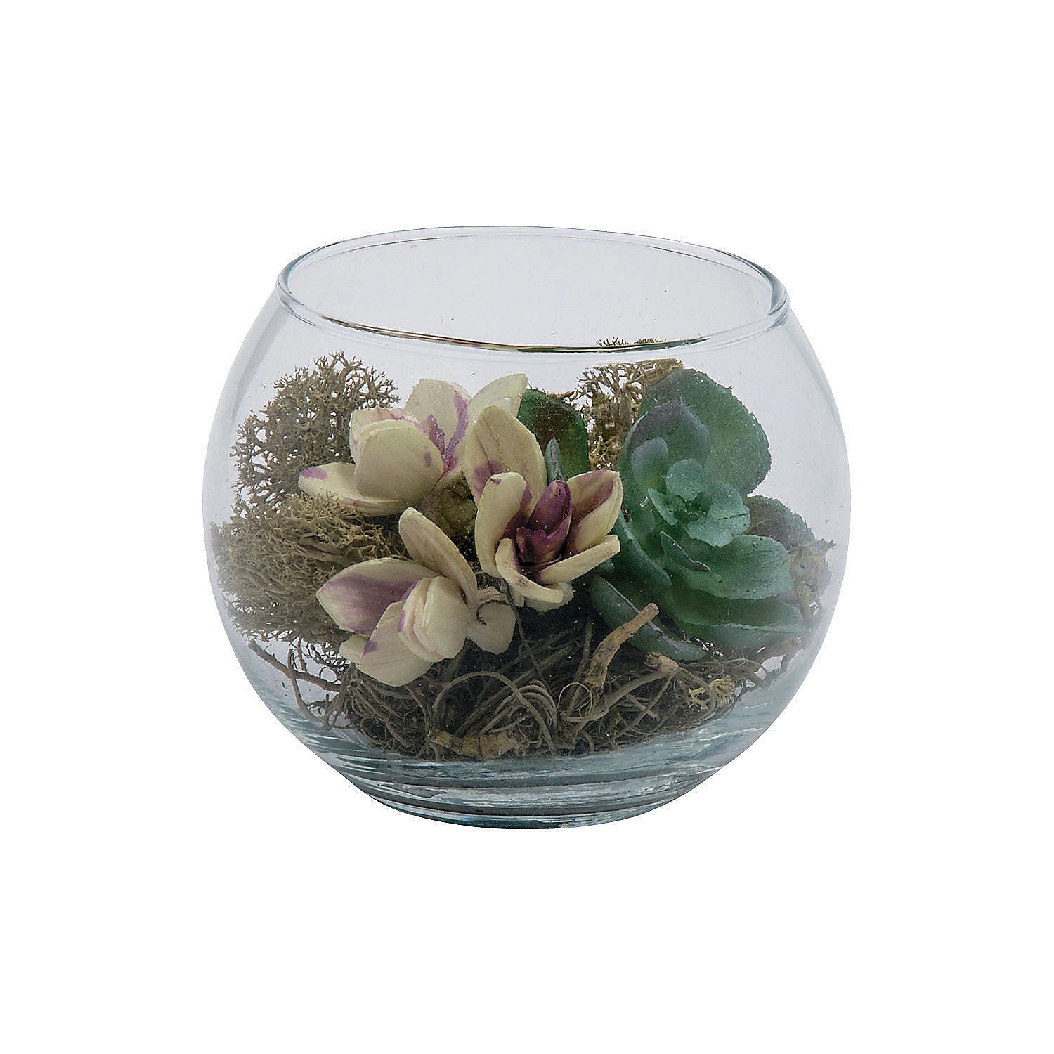 Round Glass Vase W/Succulents 3.5In - Home Decor - 1 Piece | Walmart (US)