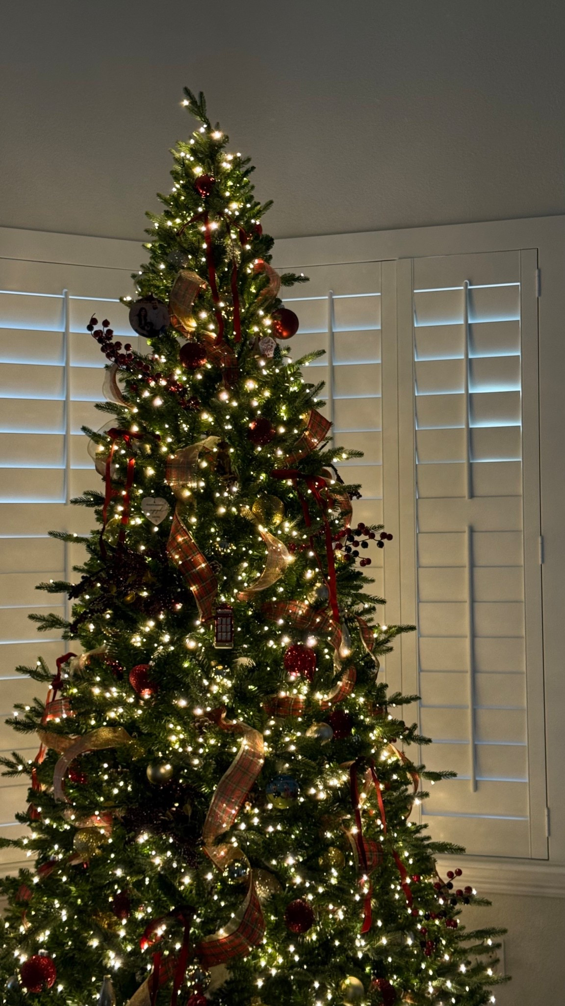 Best Christmas tree ever!!

#christmas 

#LTKGiftGuide #LTKCyberWeek #LTKHoliday