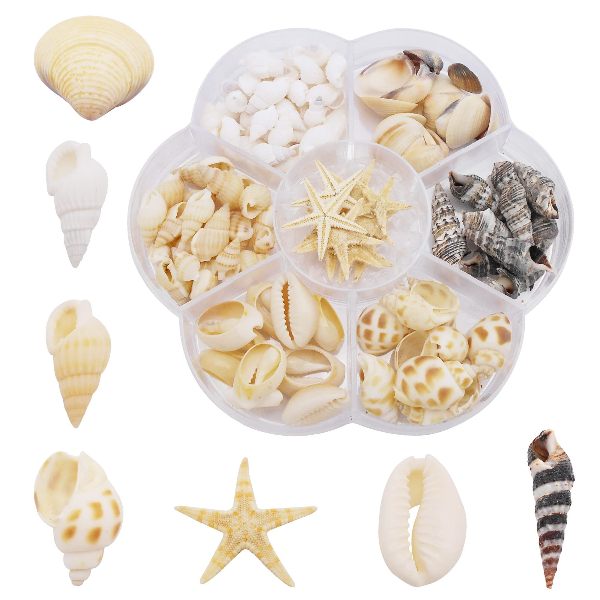 1 Box Small Starfish Sea Shells Conch Charms for Ocean Beach Home Decorations Resin Jewelry Party Candle Making Wedding Decor DIY Crafts Fish Tank Vase Filler 120pcs+ | Amazon (US)