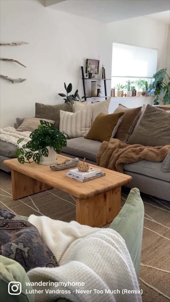 Our simple 🍂fall🍂 living room! 

#LTKhome #LTKunder100 #LTKSeasonal