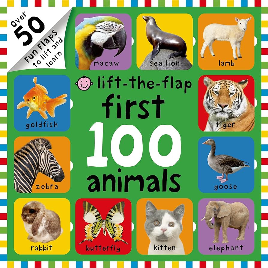 First 100 Animals Lift-the-Flap: Over 50 Fun Flaps to Lift and Learn | Amazon (US)