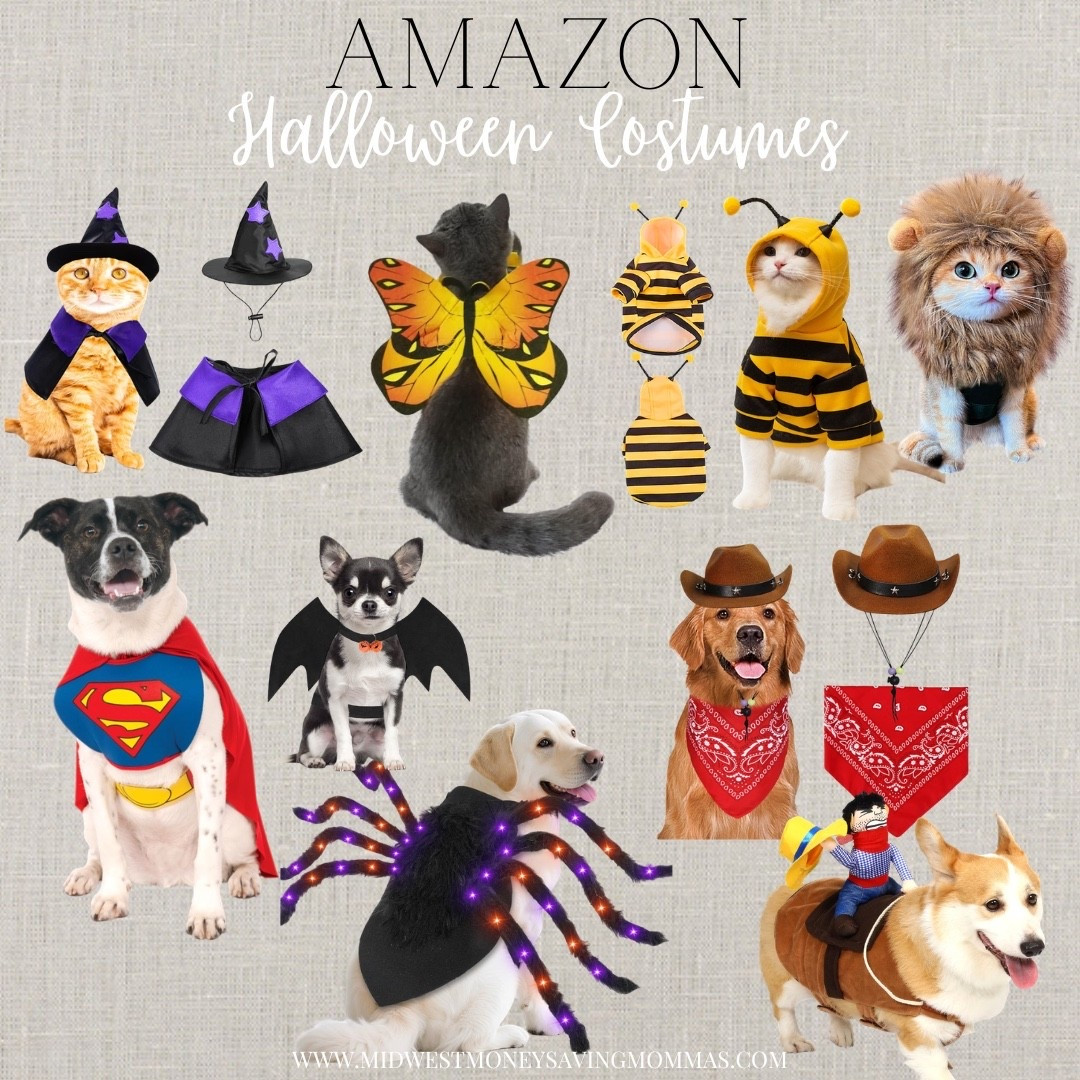 Halloween costumes for pets!

Amazon finds spooky season Halloween

#LTKSeasonal #LTKmomlife