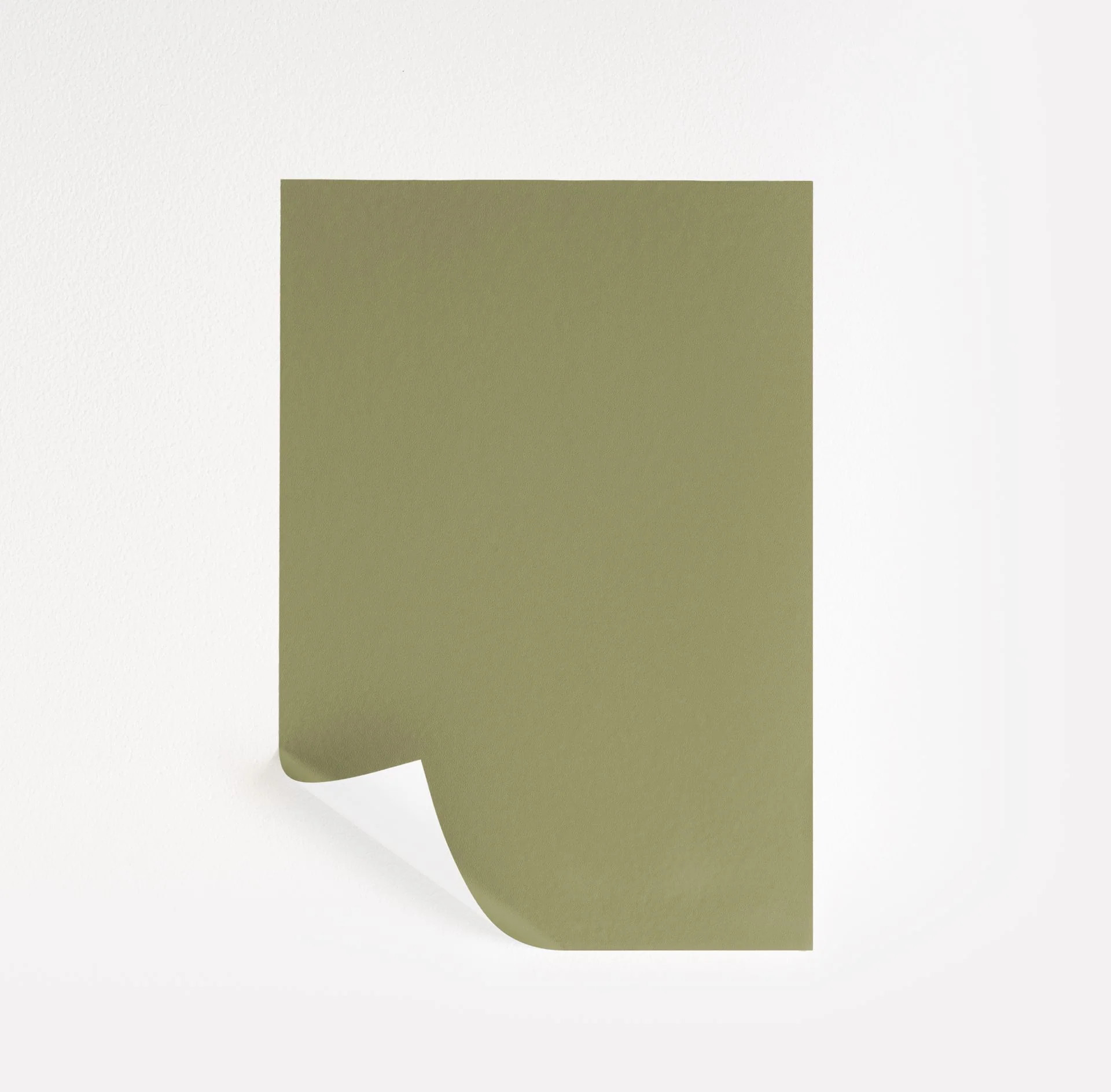 Fraser Fir  Paint Sample | Samplize