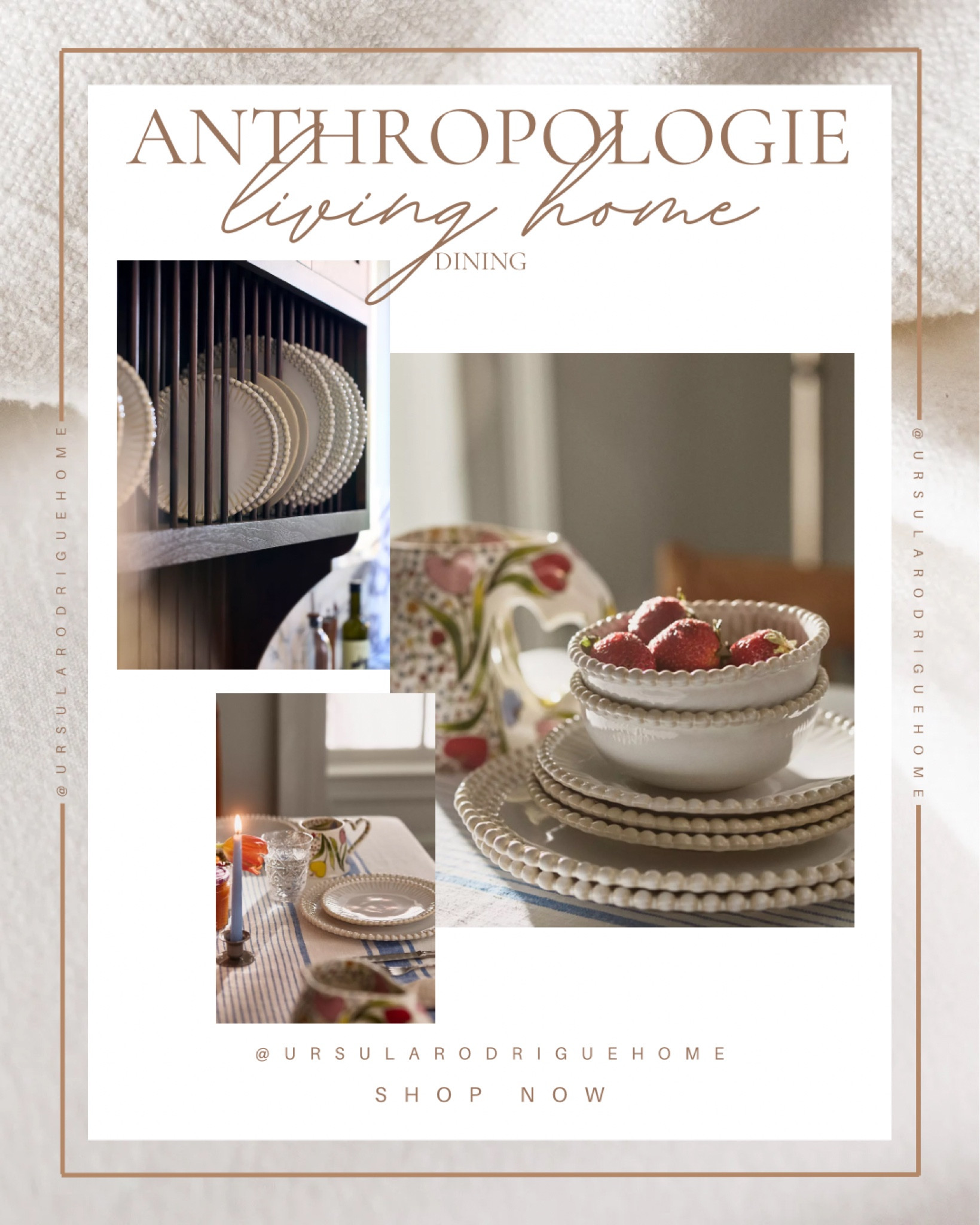 #LTKSeasonal #LTKHome #LTKStyleTip