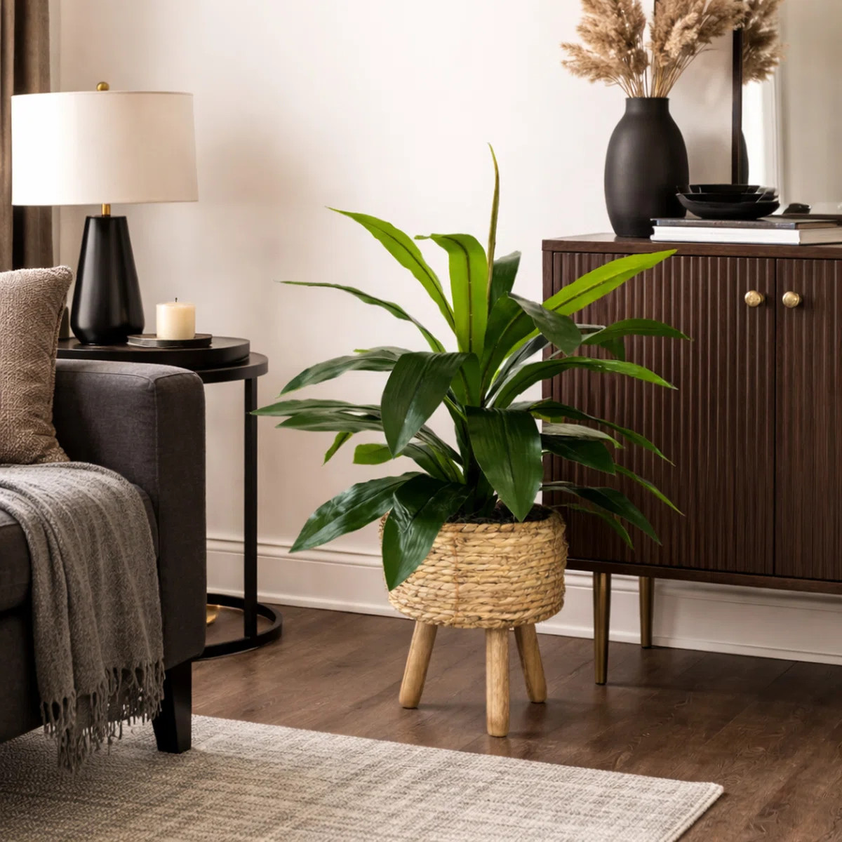 Callender 17.50" Artificial Dracaena Plant in Basket | Wayfair North America
