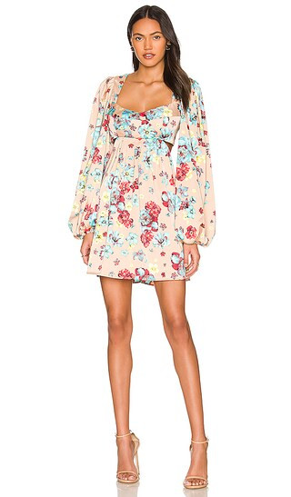 Anita Mini Dress in Aqua Bouquet | Revolve Clothing (Global)