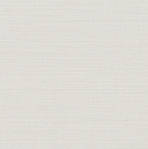 Tusk Blackout | Rolli Shades