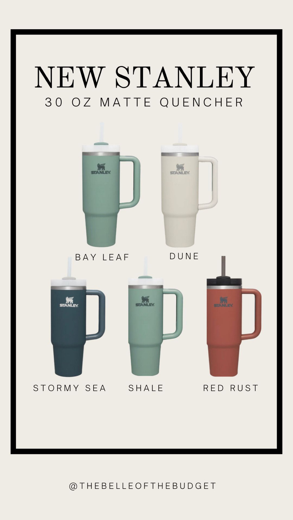 New Stanley 30oz quencher! 