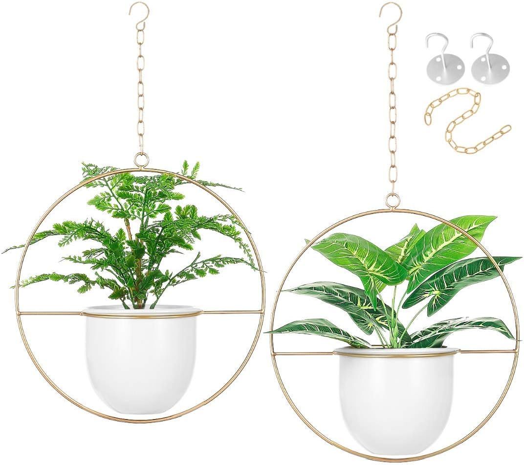 2 Pack Eco Joy Boho Metal Hanging Planters with 6" Pot (Detachable) + Hook + Chain | Hanging Plan... | Amazon (US)