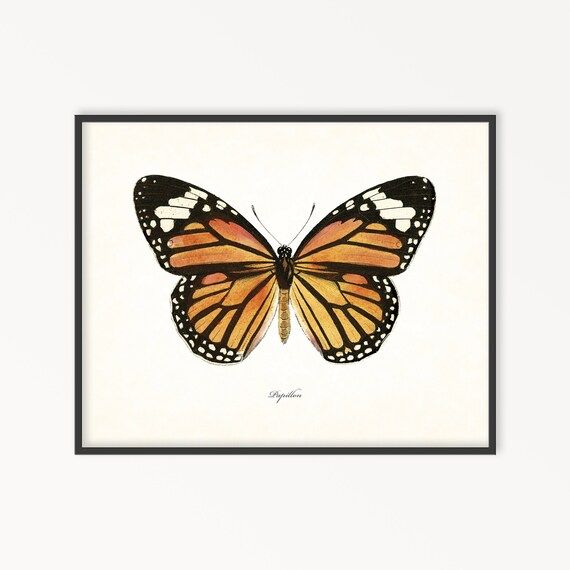 Vintage Butterfly Print No. 3 Papillon, Butterfly Print, Insect Art, Print, Wall Art, Printable, ... | Etsy (US)