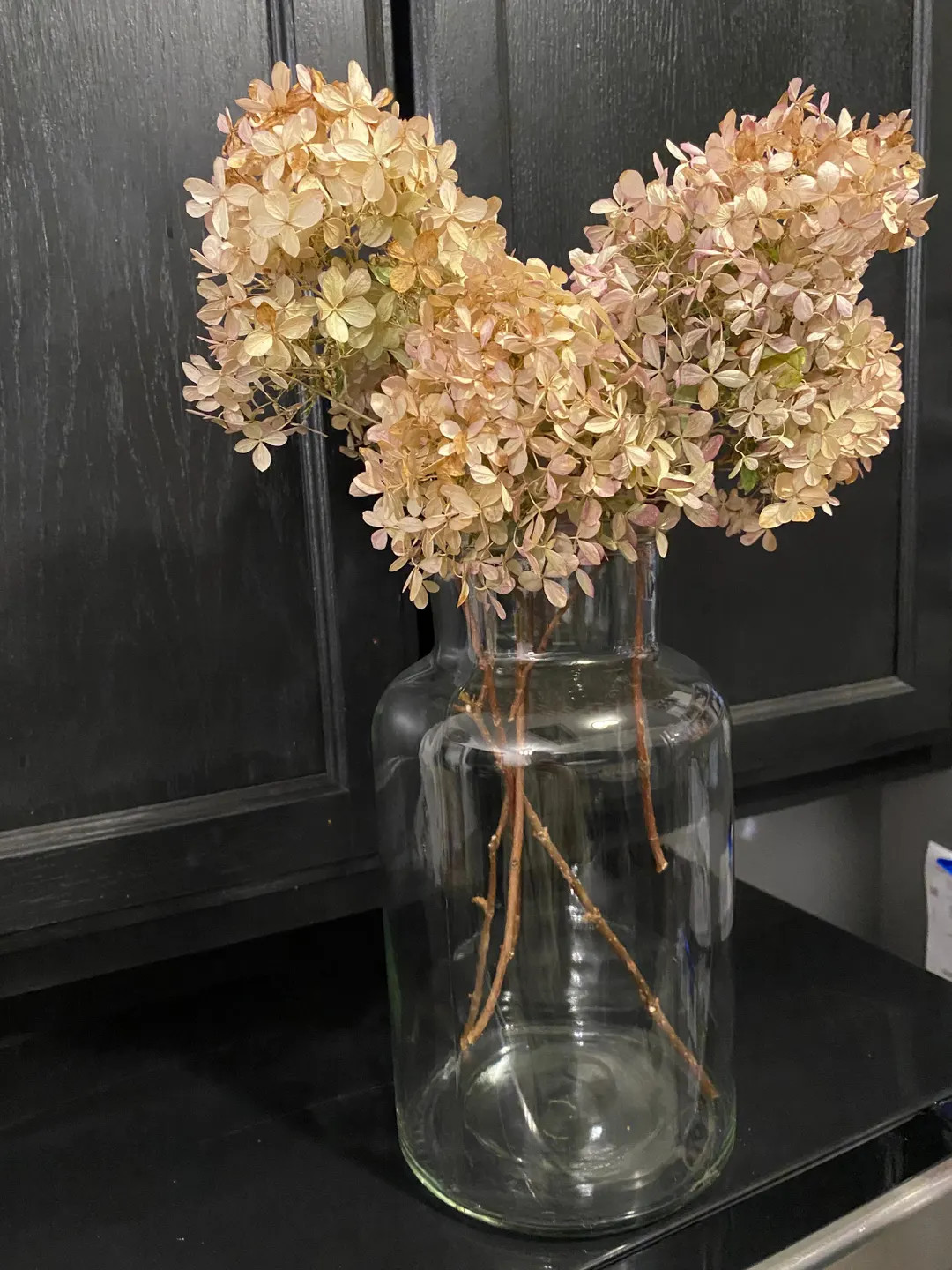 Real Pale Green Beautiful Hydrangeas - Etsy | Etsy (US)