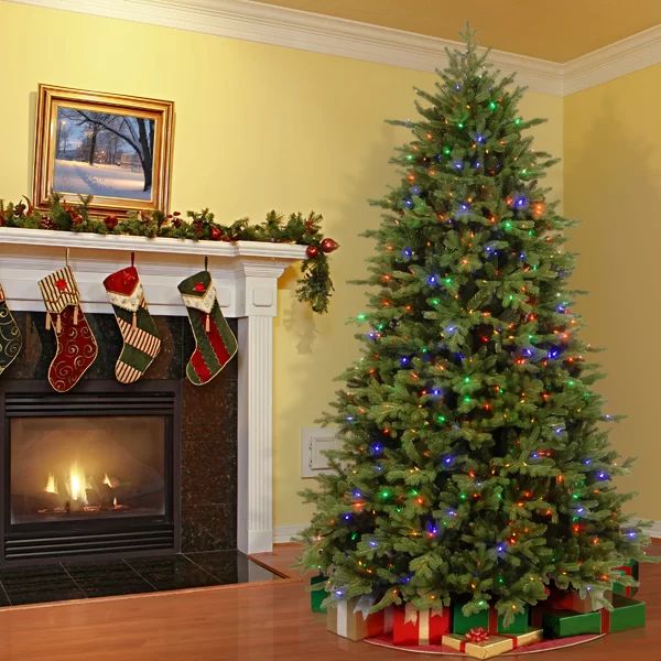 Princeton Fir Lighted Artificial Fraser Fir Christmas Tree | Wayfair North America