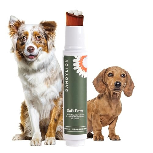 Dandylion Soft Paws | Paw Lotion with Brush | Dog Paw Balm Hydrating Alternative | Vet-Approved, Lick-Safe & Fragrance-Free | pH-Balanced for Itchy, Dry, Cracked Paws, Small & Large Dogs 0.6 fl oz | Amazon (US)