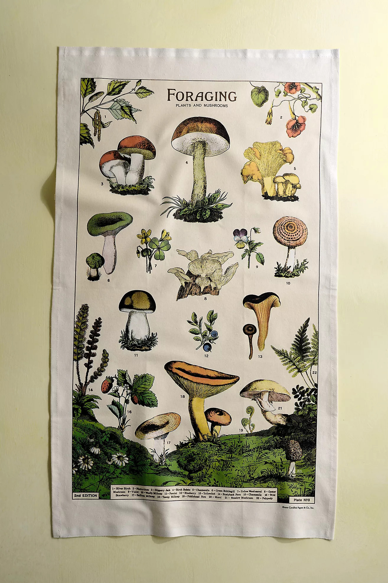Foraging Cotton Dish Towel | Anthropologie (US)