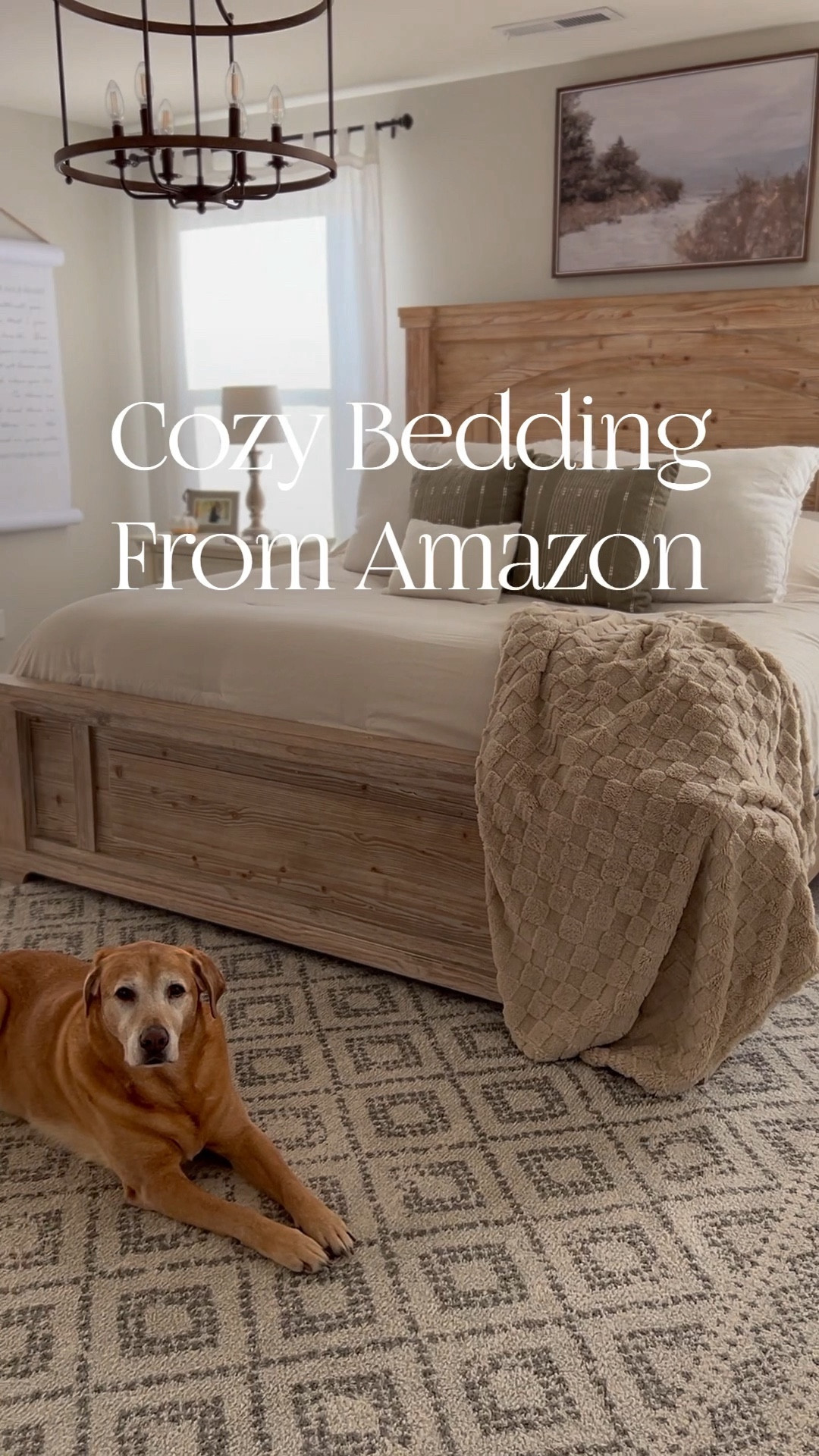 Sharing my latest find with you all. I recently discovered Bedsure bedding on Amazon, and let me tell you, it's a game changer. This comforter, cozy throw and sheet set are probably the softest I've ever felt, and they make me feel like I'm sleeping on a cloud. 

If you're looking for some cozy and affordable bedding, I highly recommend! This is not sponsored. I just love them so much. Feeling snug and cozy in bed is the best way to get a great night's sleep, or any sleep in my opinion. 😅

Sweet dreams, everyone! 😴 










#bedding #bedroomdecor #bedsheets #beddingset #bedroominspo #bedroomdesign #comforter #cozybedroom #homedecor #interiordesign #amazonfinds #amazonbedding #bedshore #softbedding #cozyhome #goodnightsleep #sleepbetter #bedroomgoals

#LTKSeasonal #LTKfindsunder100 #LTKhome