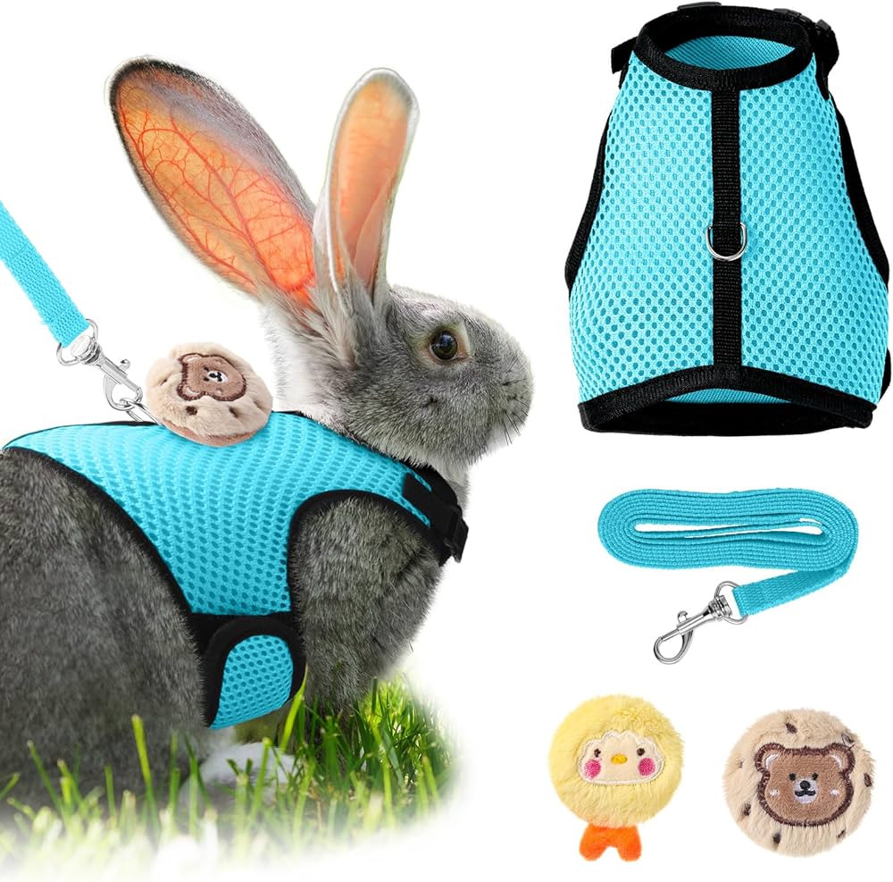 Rabbit Harness and Leash Set with 2 Cute Decorations Soft Adjustable Buckle Breathable Mesh Vest ... | Amazon (US)