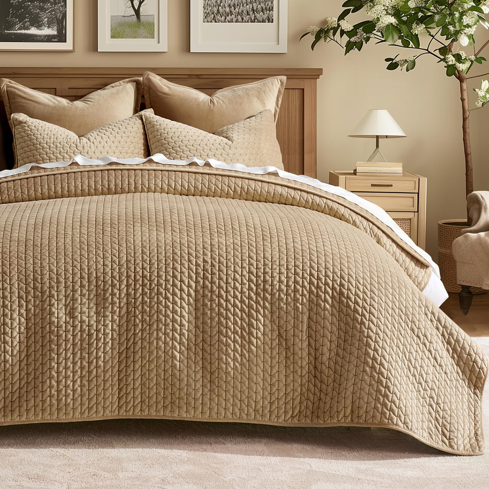 EVERGRACE Luxury Velvet Quilt Set Queen Size 3 Piece, Soft Cross-Stitch Velvet Comforter Set with... | Amazon (US)